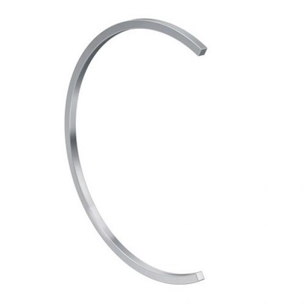compatible bearing: FAG &#x28;Schaeffler&#x29; FRM120/11 Stabilizing Rings #1 image